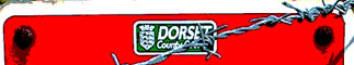 Dorset County Council: Representing the community?