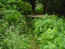 The western entrance to the golf course section