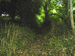 The path west of the golf course