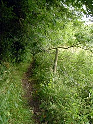 Path west of the golf course leading to Timber hill