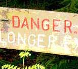 DANGER: You should have walked along the road!